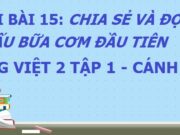 Soạn bài Nấu bữa cơm đầu tiên Tiếng Việt 2 Cánh diều