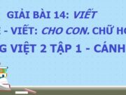 Bài viết 1: Nghe – viết Cho con