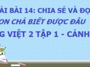 Soạn bài Con chả biết được đâu Tiếng Việt 2 Cánh diều