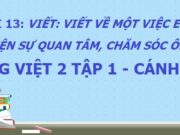 Bài viết 2: Viết về một việc em đã làm thể hiện sự quan tâm, chăm sóc ông bà