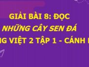 Soạn bài Những cây sen đá Tiếng Việt lớp 2 Cánh diều