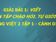 Bài viết 2 trang 11, 12 Tiếng Việt 2 Cánh diều