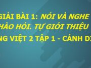 Trao đổi trang 10, 11 SGK Tiếng Việt lớp 2 Cánh diều