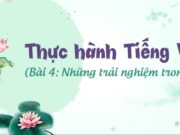 Thực hành tiếng việt Bài 4: Những trải nghiệm trong đời