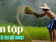 Ôn tập Bài 3: Vẻ đẹp quê hương SGK Ngữ văn 6 Chân trời sáng tạo