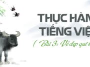 Thực hành tiếng việt: Bài 3: Vẻ đẹp quê hương