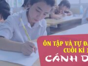 Ôn tập cuối học kì 1 Ngữ văn lớp 6 Cánh diều