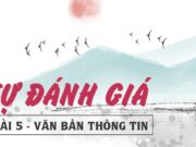 Bài 5: Tự đánh giá trang 104, 105 SGK Ngữ văn 6 tập 1 Cánh diều