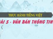 Thực hành Tiếng Việt trang 96 SGK Ngữ văn 6 tập 1 Cánh diều