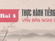 Bài 4: Thực hành Tiếng Việt trang 78, 79 SGK Ngữ văn 6 Cánh diều