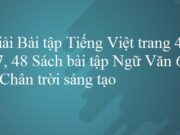 Giải bài Tiếng Việt trang 46, 47, 48 SBT Ngữ Văn 6 tập 1 Chân trời sáng tạo