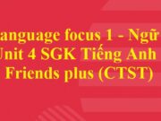 Language focus 1 Unit 4 Tiếng Anh lớp 6 Friends plus