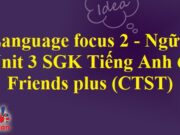 Language focus 2 Unit 3 Wild life trang  43 SGK Tiếng Anh 6 Friends plus