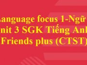 Language focus 1 Unit 3 Wild life Tiếng Anh lớp 6 Friends plus