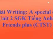 Giải bài Writing A special day Unit 2 Days SGK Tiếng Anh 6 Friends plus