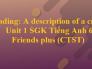 Reading A description of a cruise ship – Unit 1 Towns and cities Tiếng Anh 6 Friends plus