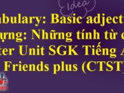 Vocabulary Basic adjectives – Starter Unit trang 10 Tiếng Anh 6 Friends plus