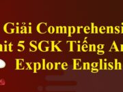 Comprehension – Unit 5 I Like Fruit SGK Tiếng Anh 6 Explore English