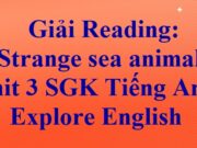 Reading Strange sea animals – Unit 3 Tiếng Anh 6 Explore English