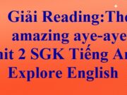 Unit 2 – Reading: The amazing aye-aye – Tiếng Anh 6 Explore English