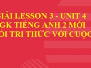 Lesson 3 Unit 4 Tiếng Anh lớp 2 Kết nối tri thức với cuộc sống