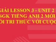 Giải Lesson 3 Unit 2 In the backyard Tiếng Anh 2 Kết nối tri thức