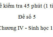 Đề kiểm tra 45 phút môn Sinh học 10 Chương 4 – Phân bào: Kết quả của lần phân bào I trong giảm phân, từ 1 tế bào tạo ra