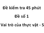 [Đề 1] Kiểm tra 1 tiết Phần Vai trò của thực vật Sinh 6: Thực vật làm giảm ô nhiễm môi trường như thế nào? 