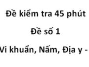 [Đề 1] Bài kiểm tra 1 tiết Phần Vi khuẩn, Nấm, Địa y Sinh 6: So sánh đặc điểm cấu tạo của rêu với tảo?