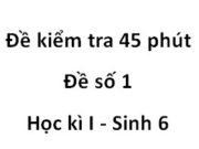 [Đề 1] Kiểm tra 1 tiết Học kì I Sinh 6: Điểm khác nhau cơ bản giữa  thực vật với các sinh vật khác là