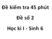 Bài thi 45 phút Đề số 2 Học kì I môn Sinh 6: Ở sa mạc, vùng băng giá ít thực vật vì