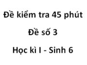 [Đề 3] Kiểm tra 45 phút Học kì I môn Sinh 6: Đặc điểm chung của thực vật