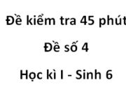 Kiểm tra 1 tiết Học kì I Sinh 6 [Đề 4]: Các bộ phận chủ yếu của tế bào thực vật?