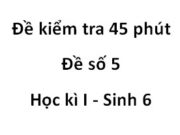 Kiểm tra 45 phút Học kì I Sinh 6 [Đề số 5]: Nhóm cây nào sau đây toàn cây có rễ cọc?