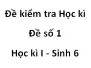 [Đề số 1] Kiểm tra học kì 1 Sinh học 6: Lá của nhóm cây nào sau đây thuộc loại lá đơn?