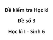 [Đề số 3] Thi học kì 1 Sinh học 6: Nhóm quả và hạt nào sau đây thích nghi với cách phát tán nhờ động vật?