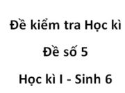 [Đề số 5] Kiểm tra học kì 1 Sinh học 6: Nguyên liệu lá cây sử dụng để chế tạo tinh bột là