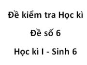 Kiểm tra học kì 1 Sinh học 6 [Đề số 6]: Chức năng trụ giữa của thân non