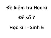 [Đề số 7] Đề thi học kì 1 Sinh học 6: Sản phẩm được tạo ra từ quang hợp là