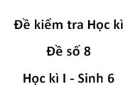 Đề thi học kì 1 Sinh học 6 [Đề số 8]: Điều không đúng khi nói về tế bào thực vật là