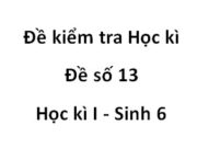 Đề số 13 Đề thi học kì 1 Sinh học 6: Những hoa nào sau đây là hoa lưỡng tính?