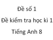 Đề 1 Đề kiểm tra học kì 1 Tiếng Anh 8:  The child lost the power of … from birth