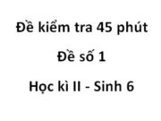 [Đề 1] Kiểm tra 1 tiết Học kì 2 Sinh 6: Sinh sản có hiện tượng thụ tinh là