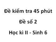 [Đề số 2] Kiểm tra 45 phút Học kì 2 Sinh 6: Đặc điểm của hoa nở về ban đêm là gì?