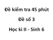 [Đề số 3] Đề 45 phút Học kì 2 Sinh 6: Quả do bộ phận nào tạo thành ?