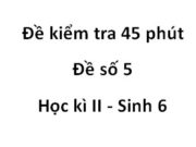 Đề số 5 Đề kiểm tra 1 tiết Học kì 2 Sinh 6: Nhóm cây nào sau đây sống ở vùng sa mạc khô nóng ?