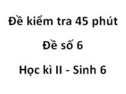 Đề kiểm tra 45 phút Học kì 2 Sinh 6 [Đề 6]: Nhóm cây nào sau đây sống ở các bãi triều lầy ven biển?