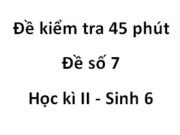 [Đề số 7] Bài thi 45 phút Học kì 2 môn Sinh 6: Thế nào là hiện tượng thụ phấn?