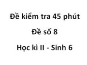 Đề 45 phút Học kì 2 môn Sinh lớp 6 [Đề số 8]: Thế nào là sự thụ tinh?