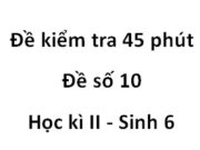 [Đề 10] Đề kiểm tra 45 phút Học kì 2 Sinh 6: 1. Quả dừa, quả mận thuộc loại quả gì ?